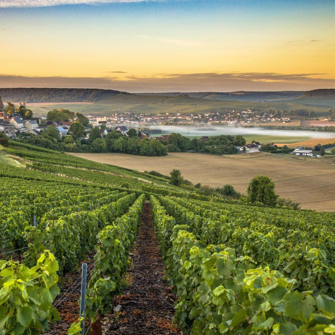Les Bulles De Bonheur - Au Coeur Du Vignoble Champenois Appartement Chouilly Buitenkant foto
