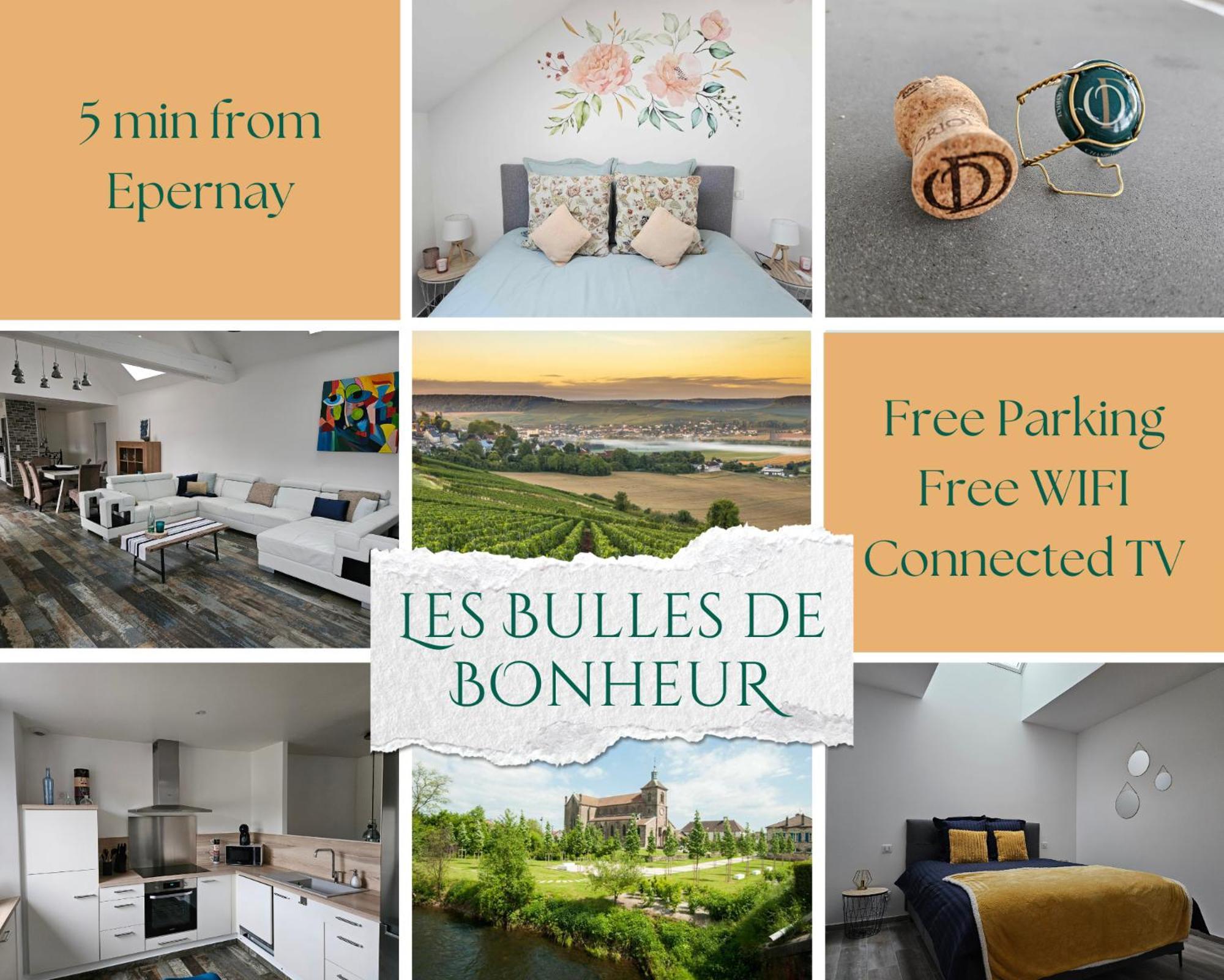 Les Bulles De Bonheur - Au Coeur Du Vignoble Champenois Appartement Chouilly Buitenkant foto